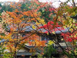 �G�[�X�i�s�a�F���쑑